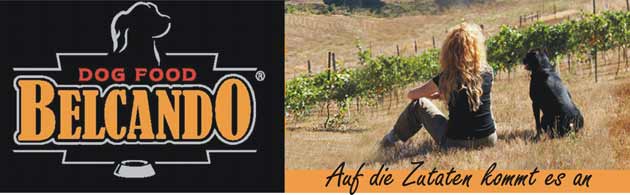 Banner Belcando Frau mit Hund
