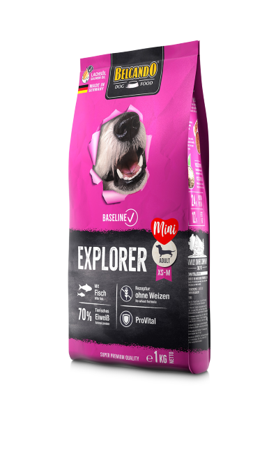 Belcando Baseline Explorer Belcando Baseline Explorer