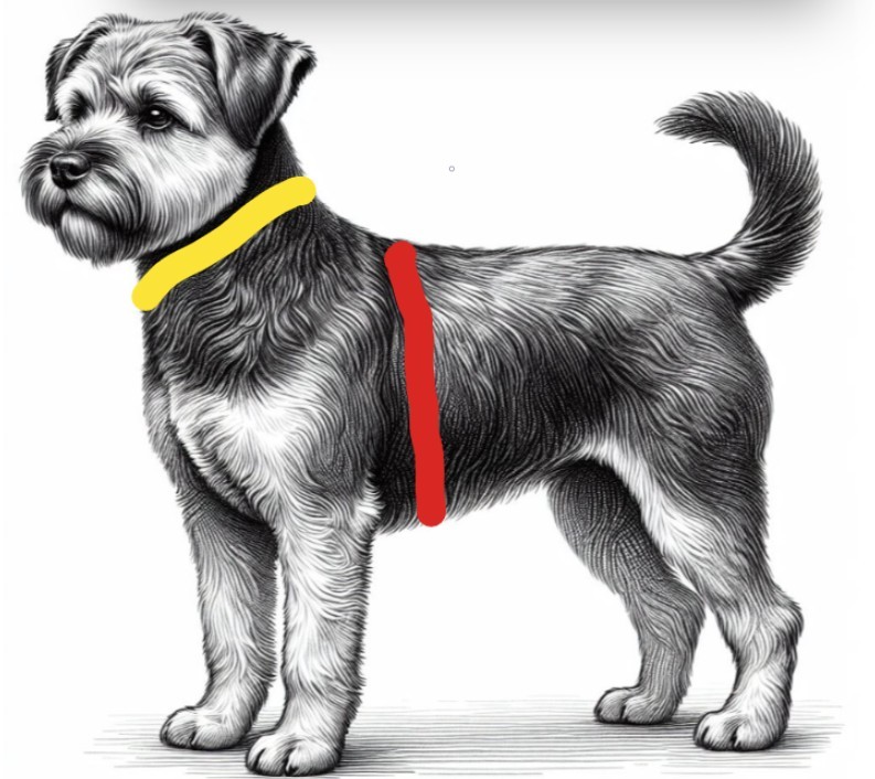 dogelements EW-Trainer deluxe
