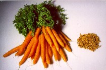 Olewo Karotten 2,5 kg Olewo Karotten 2,5 kg